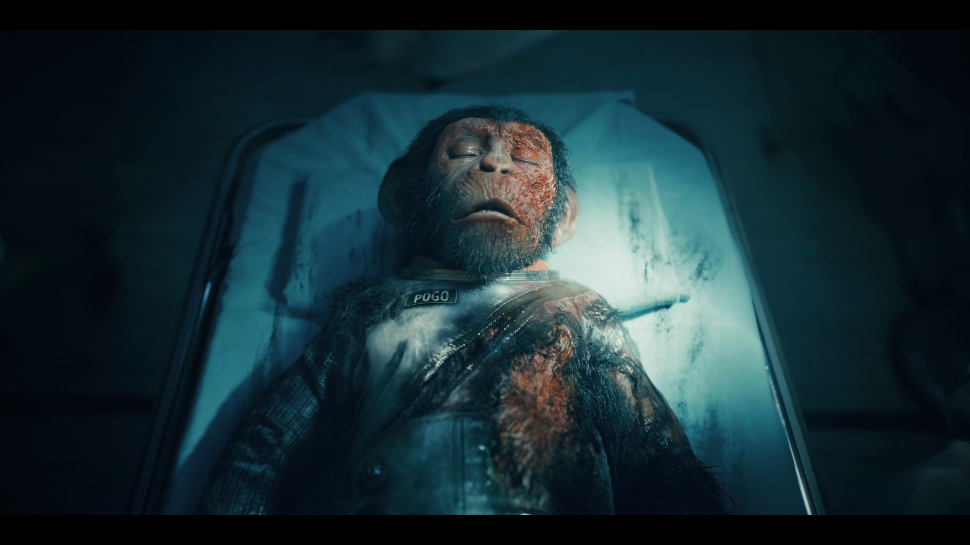 Still 2025 11 01 162004 1.4.1